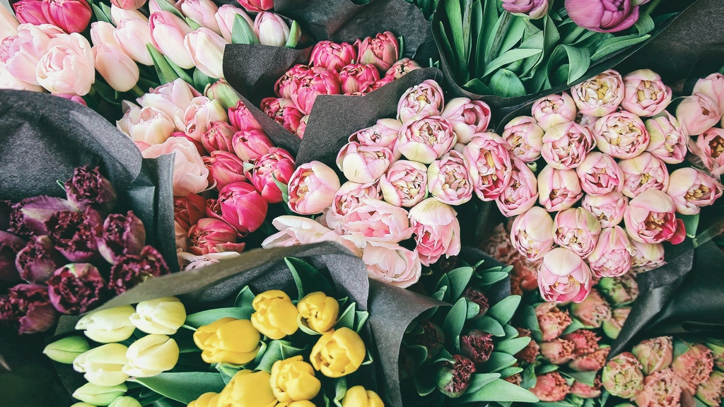 different type of credit accounts